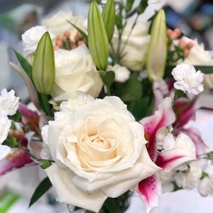 Meet your Posher, Geraldine